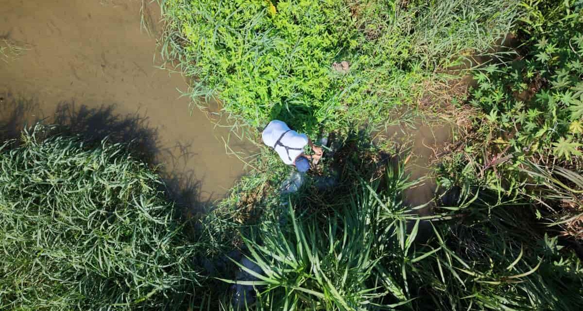 CORPAMAG retiró Trincho que obstruía flujo de agua en la Quebrada La Aguja de Ciénaga