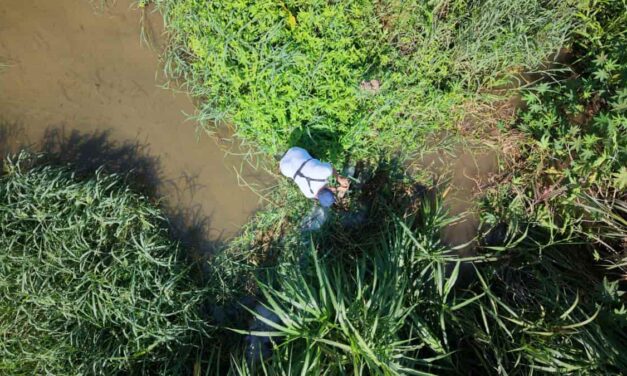 CORPAMAG retiró Trincho que obstruía flujo de agua en la Quebrada La Aguja de Ciénaga