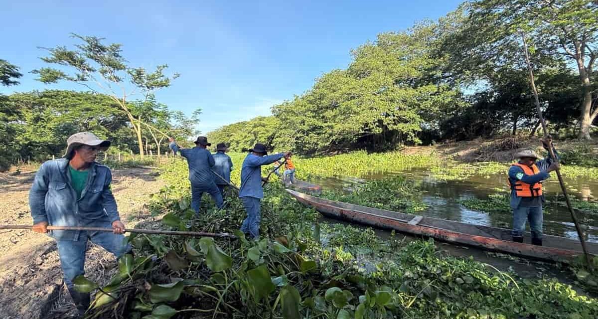 En Cerro de San Antonio CORPAMAG limpia el Caño Ciego para recuperar flujo natural del agua y beneficiar comunidades