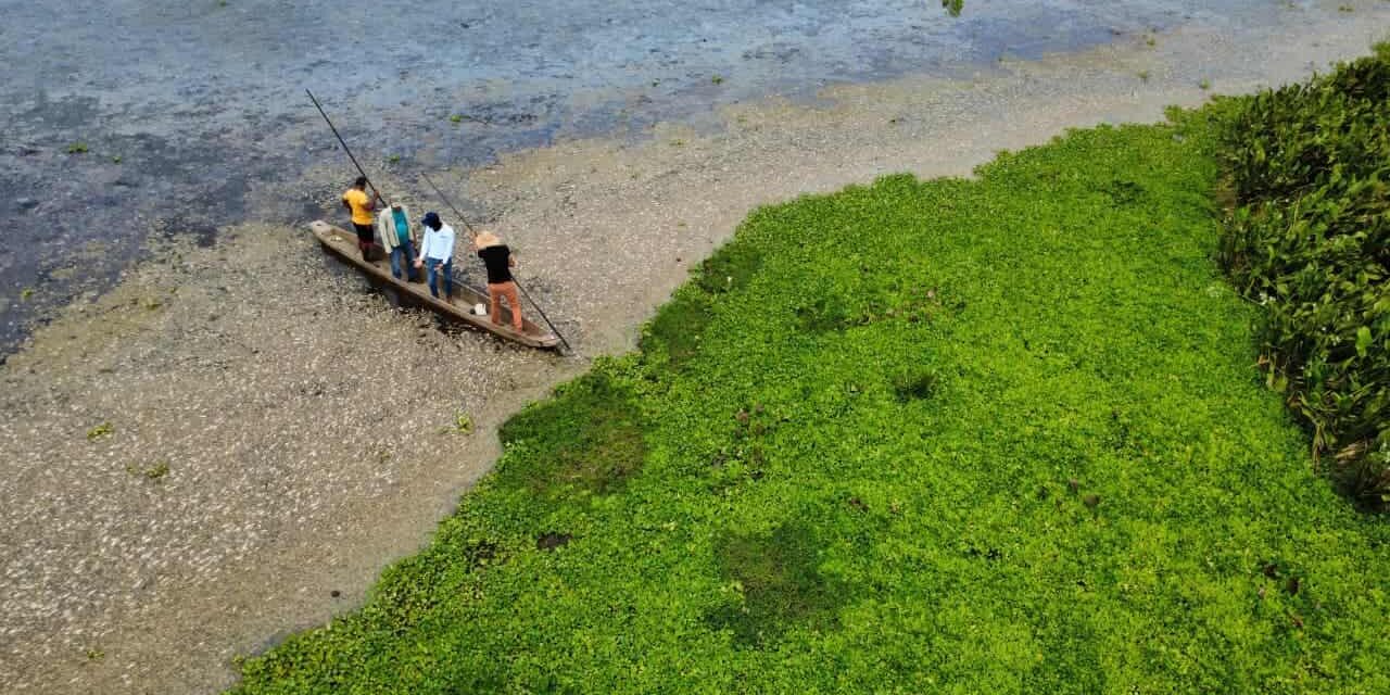 Ante mortandad de peces en la Ciénaga La Tesca CORPAMAG  actúa