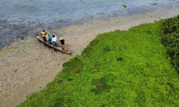 Ante mortandad de peces en la Ciénaga La Tesca CORPAMAG  actúa