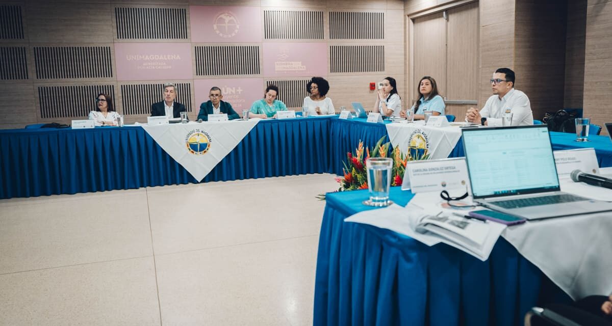 Programa de Economía de UNIMAGDALENA recibe acreditación internacional ARCU-SUR