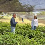 CORPAMAG inicia restauración de áreas degradadas con especies nativas en seis municipios