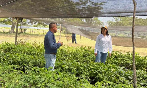 CORPAMAG inicia restauración de áreas degradadas con especies nativas en seis municipios