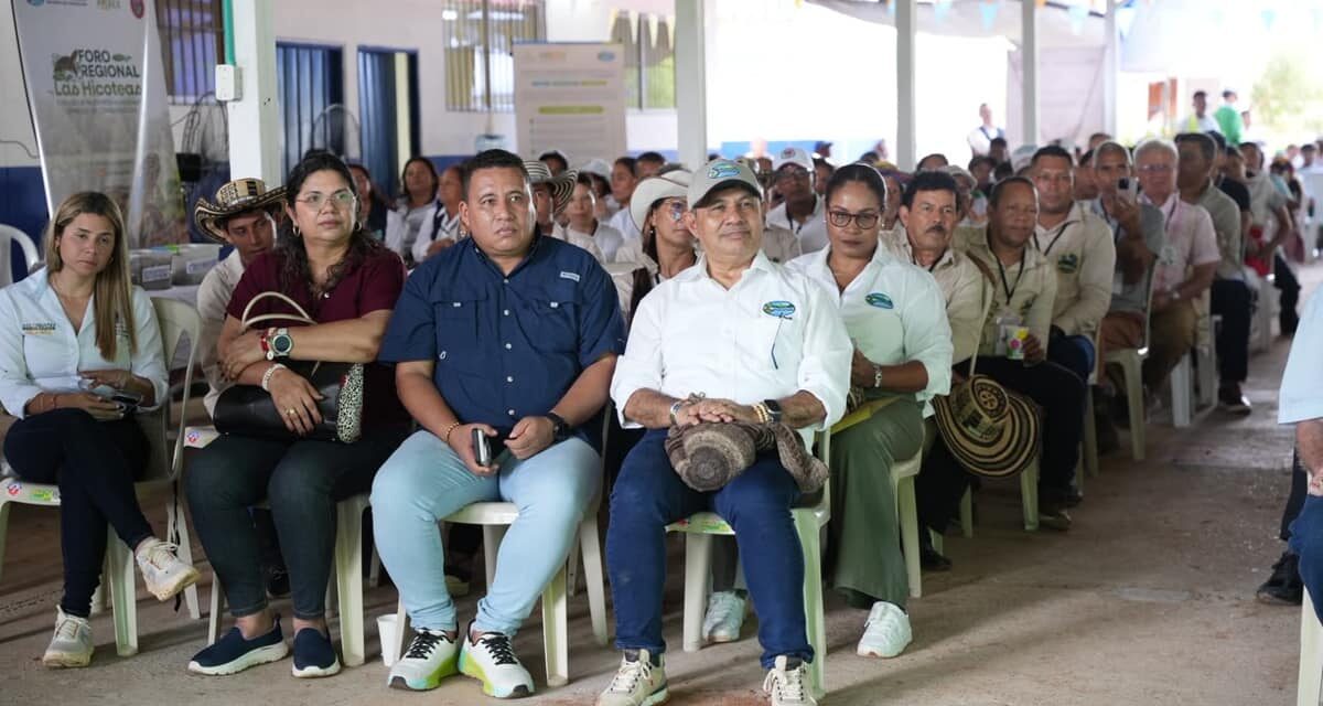 Conservar la Hicotea fortaleciendo la educación ambiental en el Sur, la nueva meta de  CORPAMAG