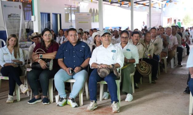 Conservar la Hicotea fortaleciendo la educación ambiental en el Sur, la nueva meta de  CORPAMAG
