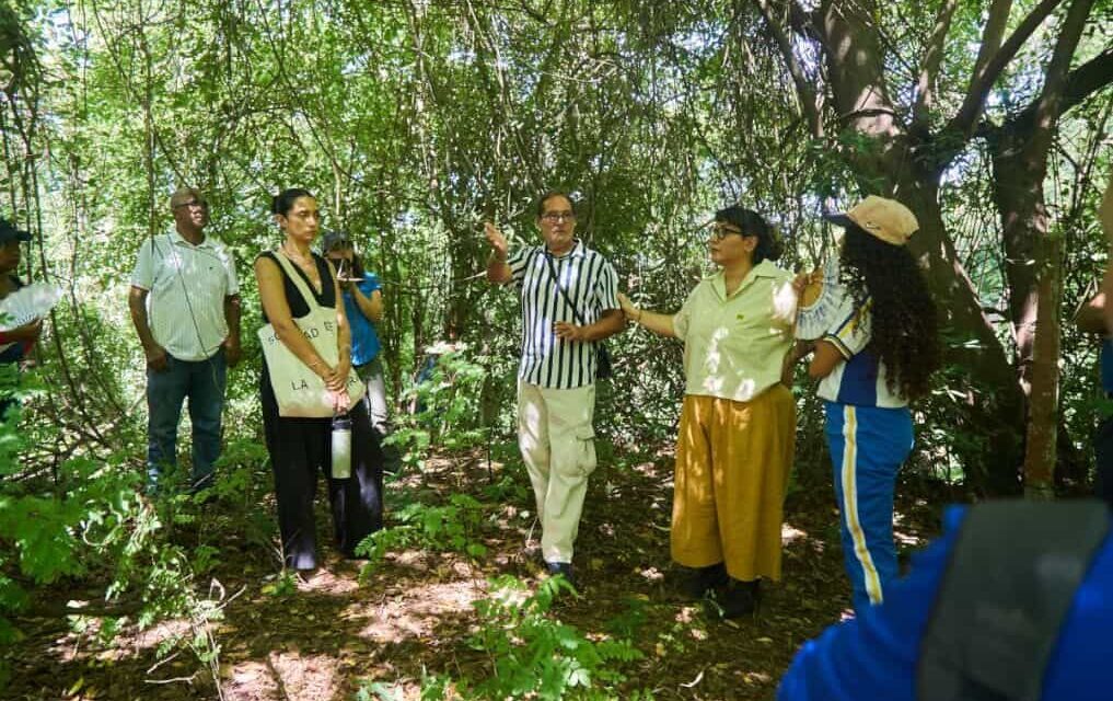 UNIMAGDALENA se suma a la apuesta por conservar el bosque seco tropical y recuperar el río Manzanares