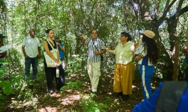 UNIMAGDALENA se suma a la apuesta por conservar el bosque seco tropical y recuperar el río Manzanares