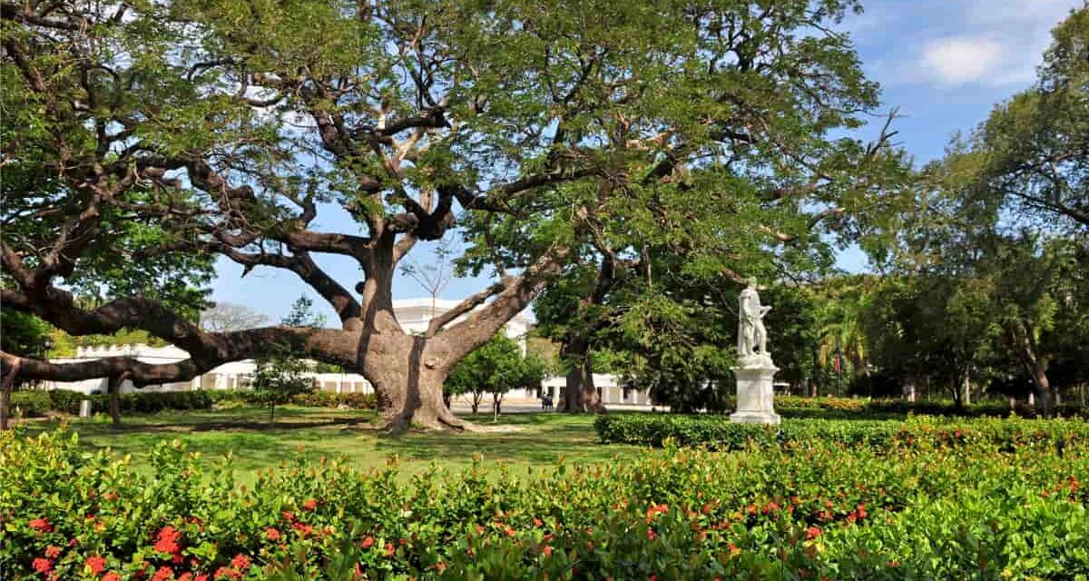 Banco CAF y Jardín Botánico de N.Y. impulsan apoyo para el río Manzanares y el Jardín QSPA