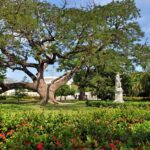 Banco CAF y Jardín Botánico de N.Y. impulsan apoyo para el río Manzanares y el Jardín QSPA