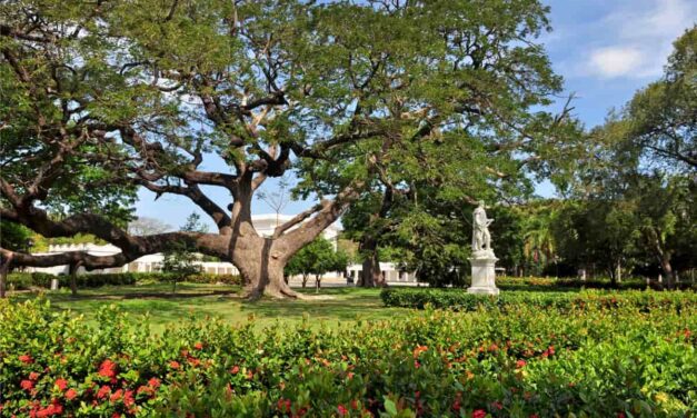 Banco CAF y Jardín Botánico de N.Y. impulsan apoyo para el río Manzanares y el Jardín QSPA