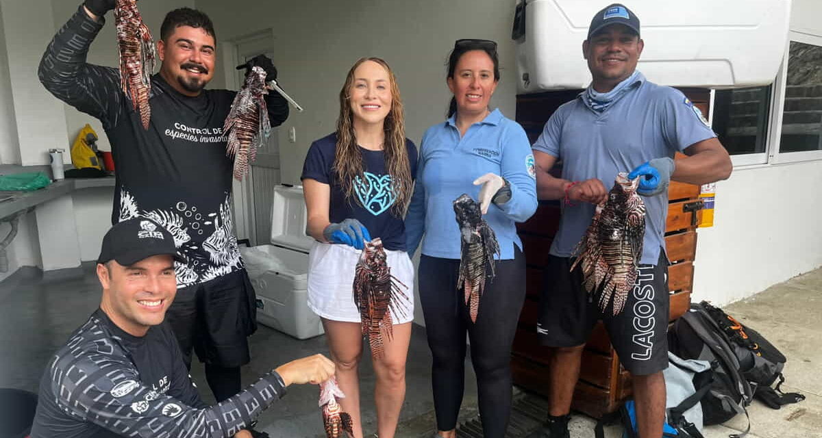 CORPAMAG, Parques Nacionales, Fundación CIM Caribe unidos en el control del Pez León en área del Tayrona