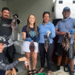 CORPAMAG, Parques Nacionales, Fundación CIM Caribe unidos en el control del Pez León en área del Tayrona