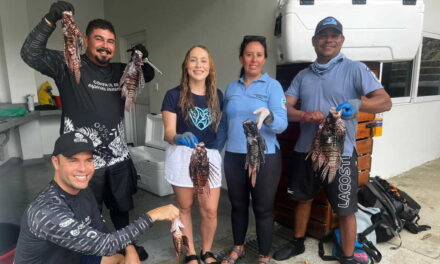 CORPAMAG, Parques Nacionales, Fundación CIM Caribe unidos en el control del Pez León en área del Tayrona